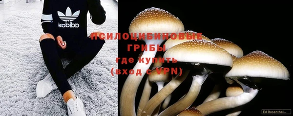 марки lsd Горнозаводск