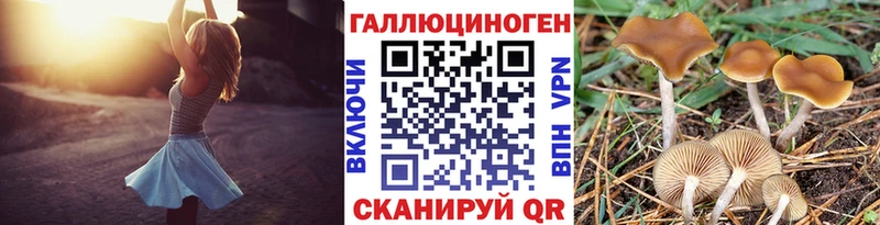 Купить закладки  Майкоп  Галлюциногенные грибы GOLDEN TEACHER 